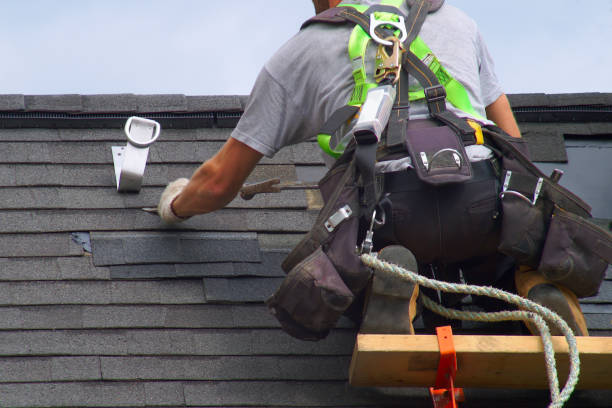 Best Roof Inspection Near Me  in Linden, MI