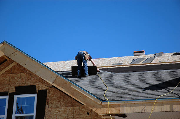 Best Roof Maintenance Services  in Linden, MI