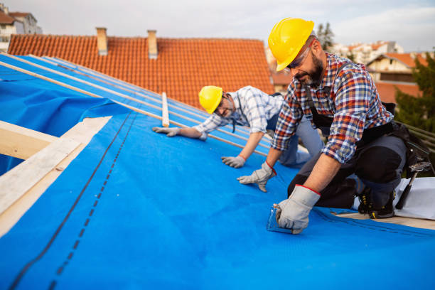 Best Emergency Roof Repair  in Linden, MI