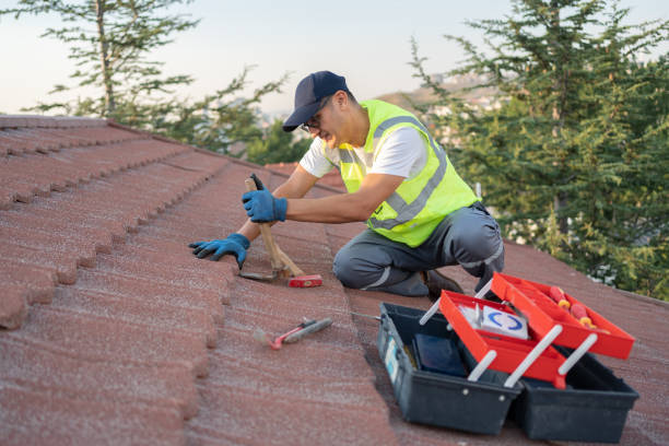 Best Metal Roofing Contractor  in Linden, MI
