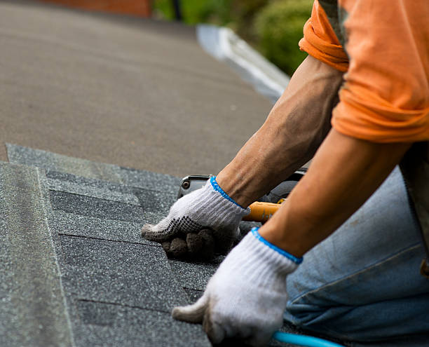 Best Roof Leak Repair  in Linden, MI