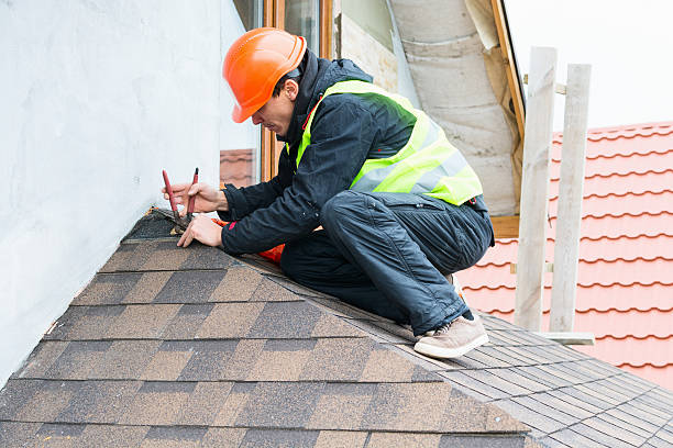 Best Roof Waterproofing Services  in Linden, MI