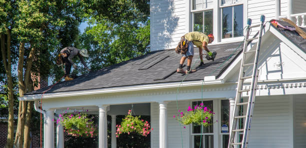 Best Roof Gutter Cleaning  in Linden, MI