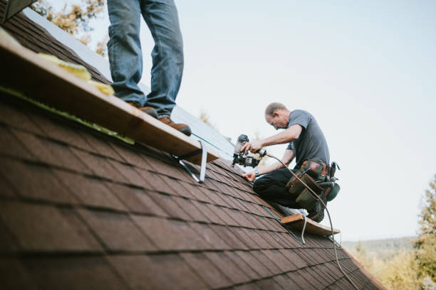 Best Local Roofing Companies  in Linden, MI