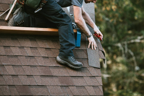 Best Emergency Roof Repair  in Linden, MI